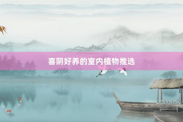 喜阴好养的室内植物推选