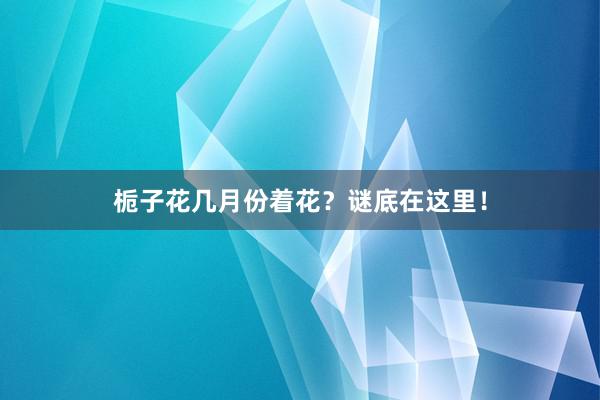 栀子花几月份着花？谜底在这里！