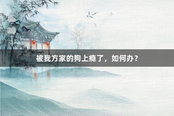 被我方家的狗上瘾了，如何办？