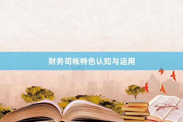 财务司帐特色认知与运用